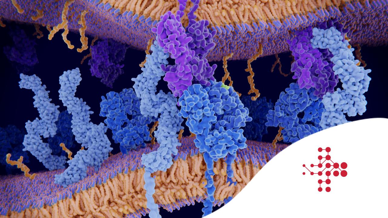 Tukový enzym, který si hraje na genetického dirigenta