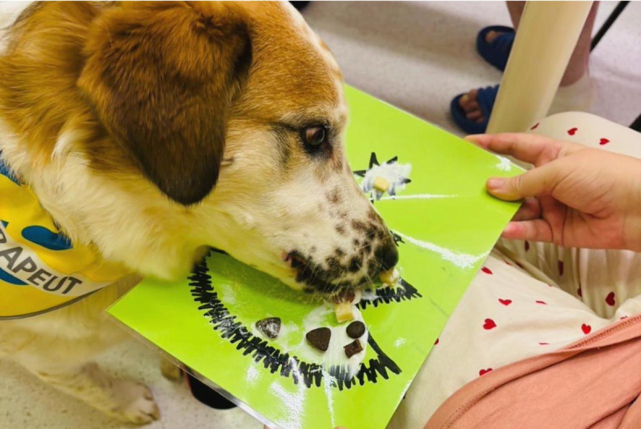 Aktivizace pro pacienty v ONP Mnichovo Hradiště