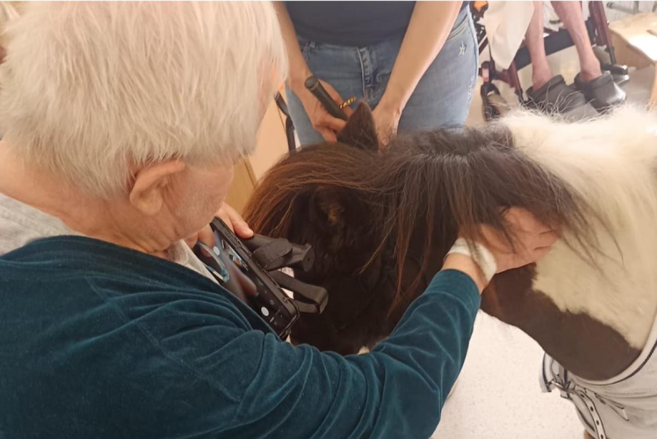 Poník potěšil pacienty v ONP Mnichovo Hradiště