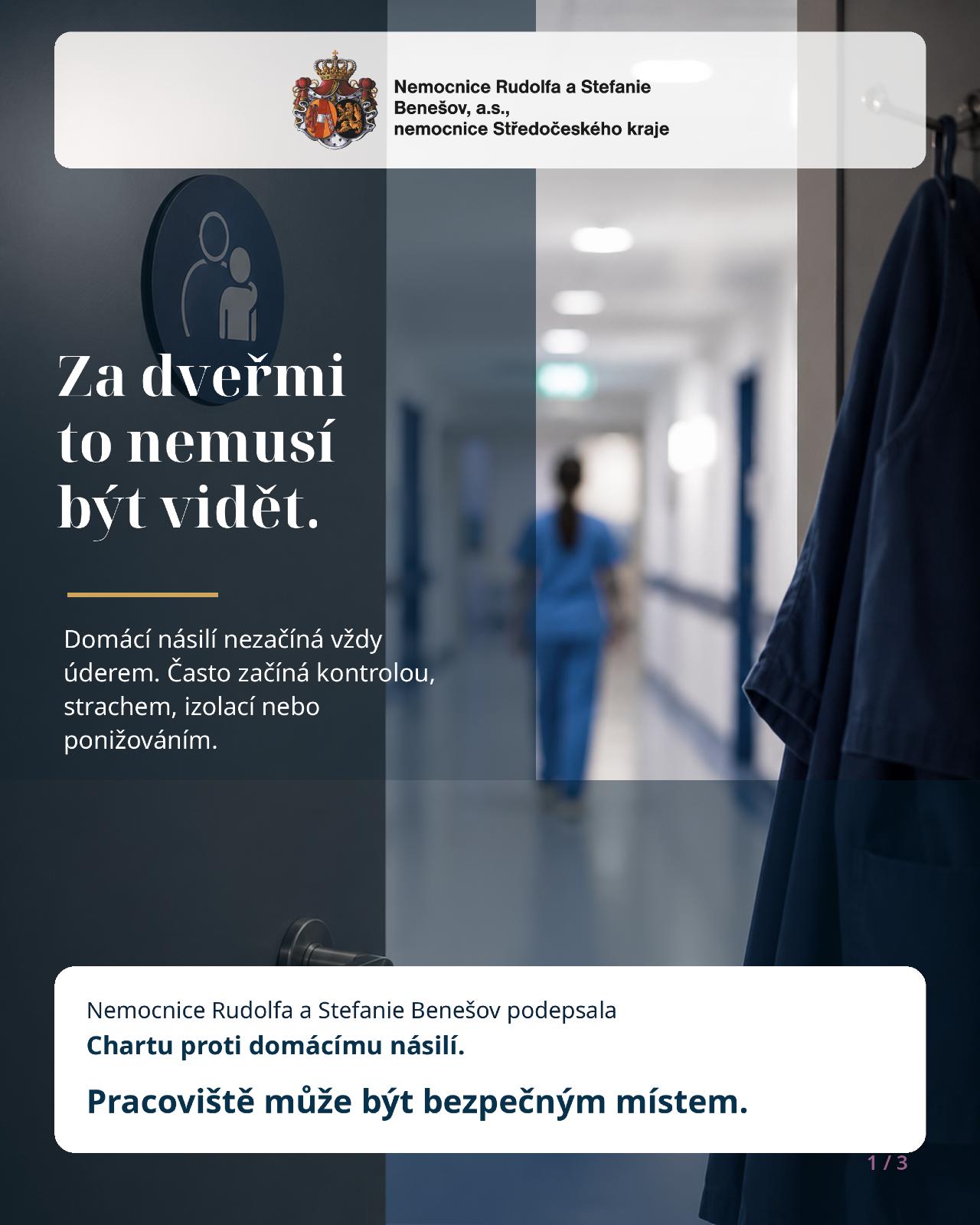 Charta proti domácímu násilí