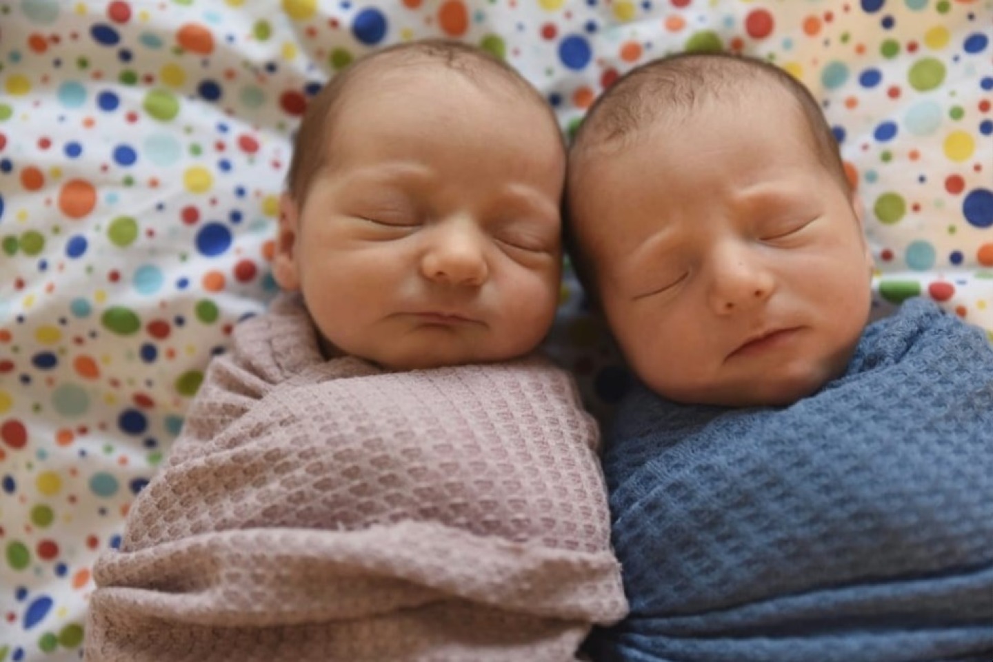 Máme první letošní dvojčátka!