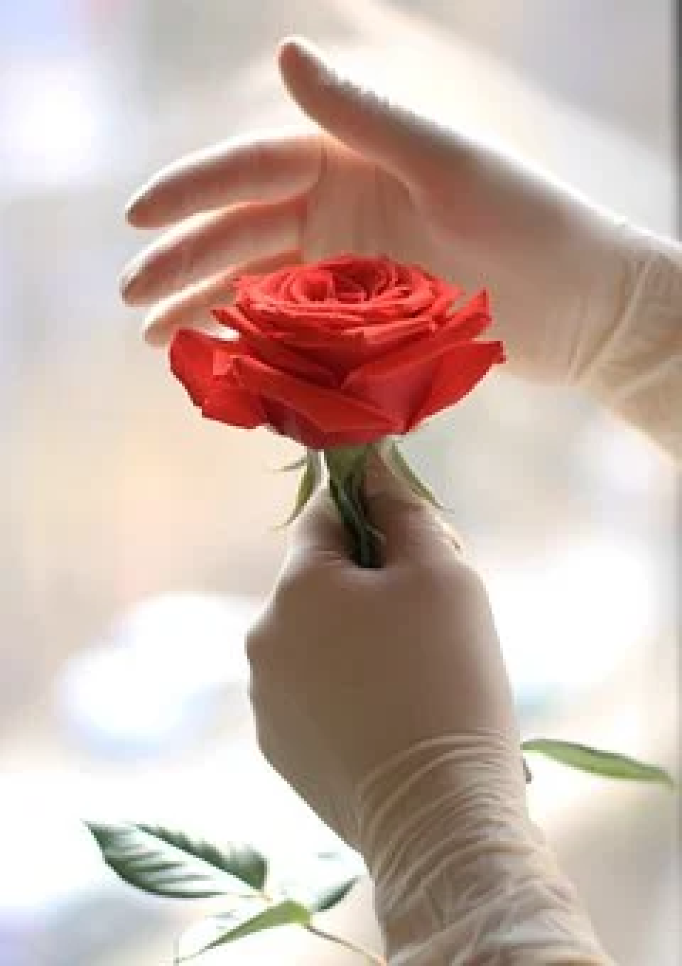 9. května končí lhůta pro podání žádosti o krajské stipendium