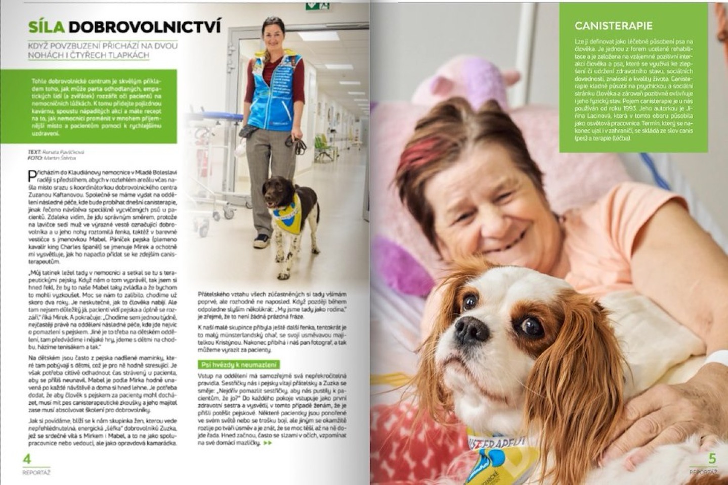 Naše Dobrovolnické centrum je vzorem pro ostatní v republice