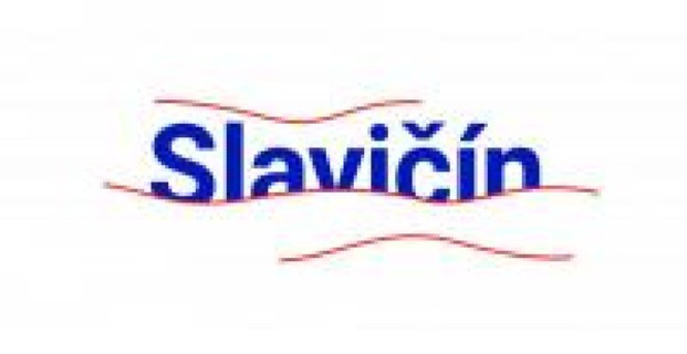 Městská nemocnice Slavičín