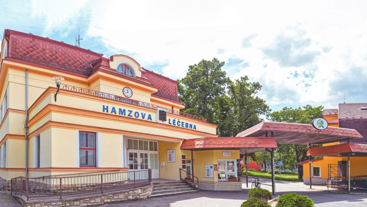 Hamzova odborná léčebna pro děti a dospělé