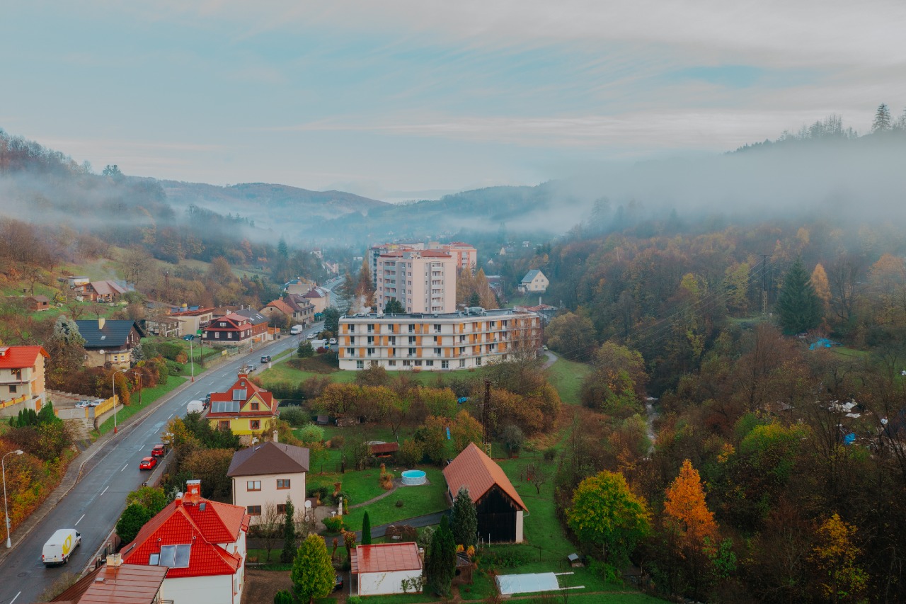Sociální služby Vsetín, p. o.
